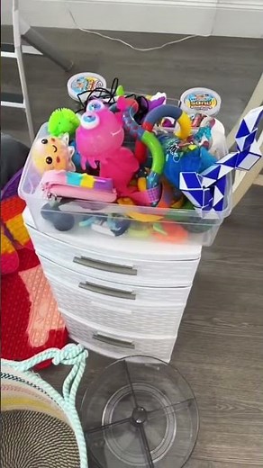 Organizing Everleigh’s HUGE Fidget Collection!!! 🤩