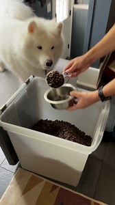 When the Chewy box arrives and you know it’s Dr. Pol Salmon Dog Food… Excitement level: 1000%! 🐶 | Dr. Pol Pets