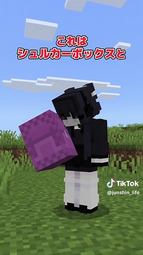 マイクラ統合版のバックパックアドオン紹介