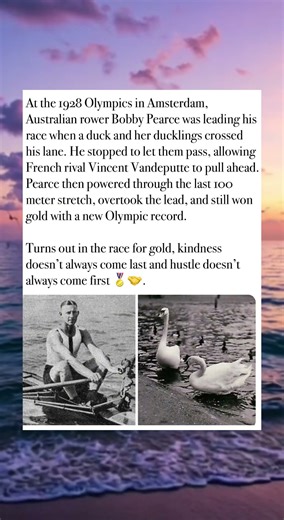 Olympic Racer Stops For Ducks, Still Wins Gold