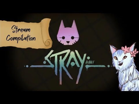 Let's Play Stray ! - Stream Compilation