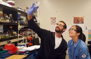 Students learn to think and work together on a wicked problem