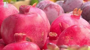 Нарът - райският плод - Българска национална телевизия