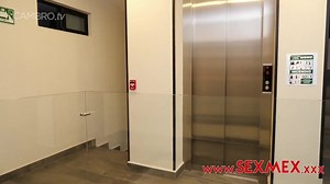 Teresa Ferrer - Quarantine (Complete)