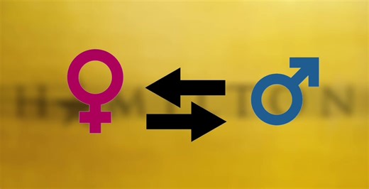 !Genderbent•Hamilton!⭐️ on TikTok