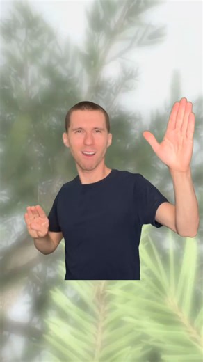 Signplaying | “WATCH ME RISE” These ASL poems are told through the perspective of a fictitious teenager who is navigating the challenges of life.... | Instagram