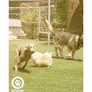 10K reactions · 1.2K shares | I want to meet one of you! When you...