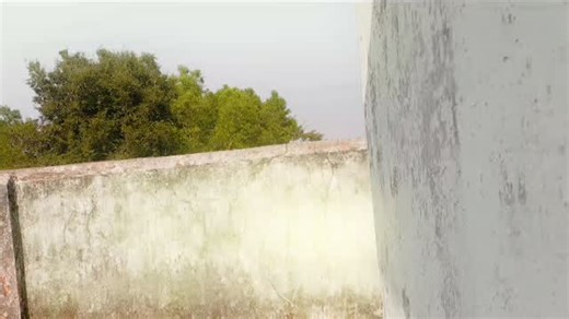 Sk Sameer Majhi on Instagram‎: "1kㅤ❍5Kㅤ⎙2Kㅤ⌲1K ˡᶦᵏᵉ ᶜᵒᵐᵐᵉⁿᵗ ˢᵃᵛᵉ ˢʰᵃʳᵉ➪𝐋𝐢𝐤𝐞 ♡︎ 𝐚𝐧𝐝 ♡︎➪𝐒𝐭𝐨𝐫𝐲ˡᶦᵏᵉ ᶜᵒᵐᵐᵉⁿᵗ ˢᵃᵛᵉ ˢʰᵃʳᵉ➪𝐋𝐢𝐤𝐞 ♡︎ 𝐚𝐧𝐝 ♡︎➪𝐒𝐭𝐨𝐫𝐲 Recent commentsNicknames, cool fonts, symbols and stylish names for Sameer – ➳ᴹᴿ°᭄ꢺѧᴍᴇᴇʀ☆, ꧁༒SAMEER༒꧂, 💕{سمیر} ✓, ꧁༺░S░A░M░E░E░R░༻꧂, ꧁☬༒ⓈⒶⓂⒺⒺⓇ༒☬꧂. Nicknames for games, profiles, brands or social networks.https://www.instagram.com/reel/DSRAaOZk_Lr/?igsh=MWhvNmgwZWNxZ2ZndA==🖇️🫂🎀🫶🏻💌💓"‎