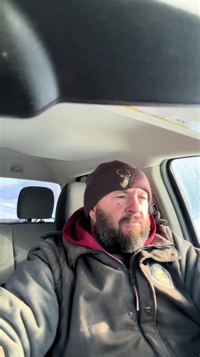 Baiting wolves with some wolf pictures at the end