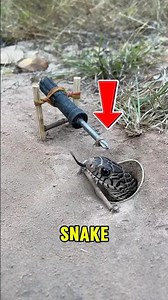 Snake Trap? WAIT for it...