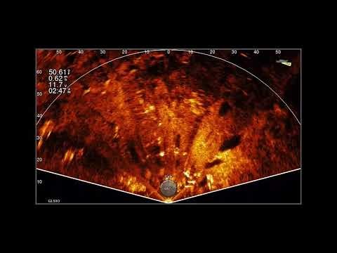 Garmin Livescope Perspective Mode: What Am I Seeing?!?!? Episode 1 of a Weekly Series