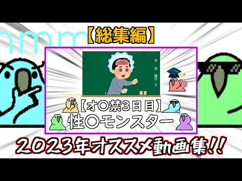【Party Parrot】2023年のオススメ下ネタ動画集！！【パーティーパロット】【TINTIN Parrot】【総集編】