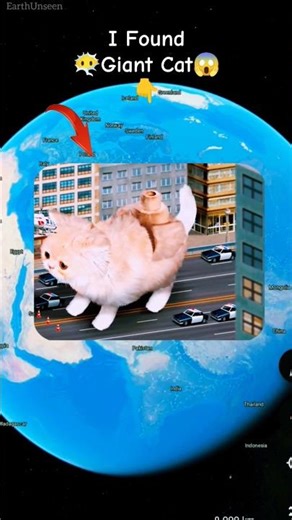 😶‍🌫️😱 I Found Strange Giant Cat In Google Maps And Google Earth#map#earthunseen#shots