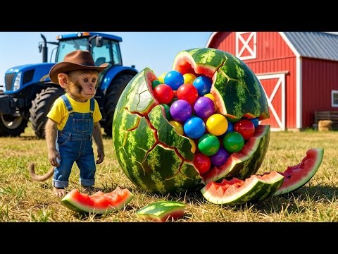 🐒🚜 Smart Monkey Bon Bon Harvest Adventure | Funny Animal Monkey Cartoon for Kids 🍎🍌🍇