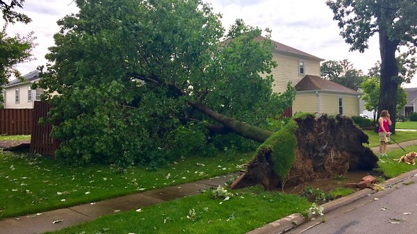 Chicago Severe Storms, Tornado Warnings Leave Homes Damaged, Trees Split and 40K Without Power