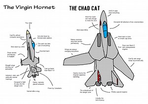 F18 or F14, which is easier to fly