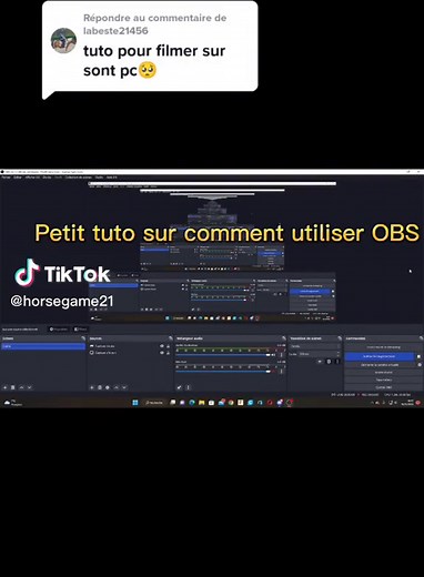 HorseGame sur TikTok