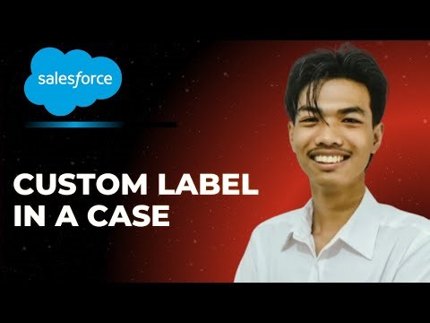 How to Custom Label at Case in Salesforce