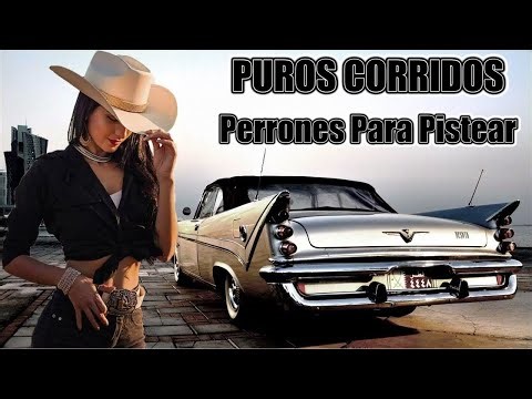 100 Exitos Puros Corridos Perrones Para Pistear Mix Viejitas
