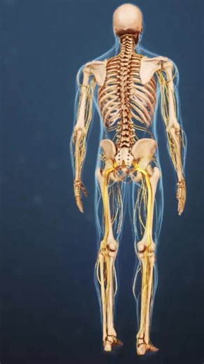 25K views · 351 reactions | Use this video to uncover the real reason...