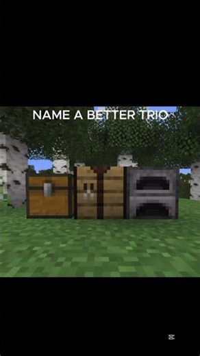 No one can name a better trio #mincraft #games #gamer #foryou #roblox #gaming #java #bedrock