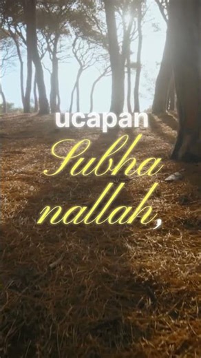 SUBHANALLAH WALHAMDULILLAH WA LA ILAHA ILLALLAH ALLAHU AKBAR (HR MUSLIM 4861) #hadits #muslim #sahih