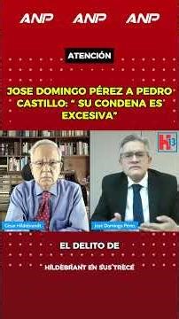 JOSE DOMINGO PEREZ TO PEDRO CASTILLO: “YOUR SENTENCE IS EXCESSIVE”