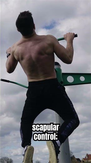 FULL-BODY Functional Performance in FOUR Moves - The Functional Four