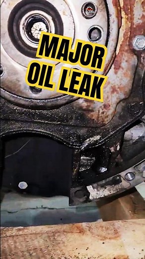 Ford Ranger Rear Main Seal Leak 😳 Engine Oil Everywhere! #fordranger #OilLeak #mechanic