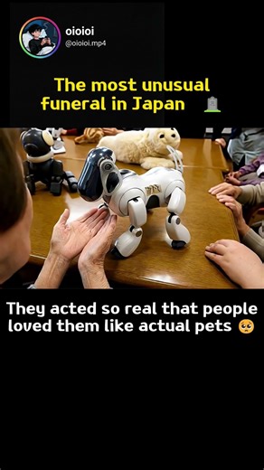 The most unusual funeral in the world 🪦👀 #shorts