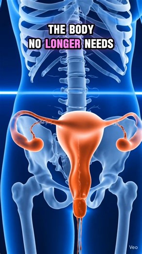 “How Do Periods Actually Work? | Menstrual Cycle Explained Simply” #3danimation #humanbody