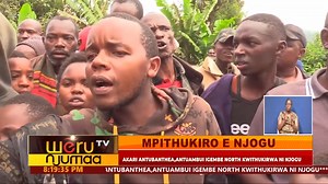 MPIKITHURO E NJOGU Elephant invasion in Antubanthea Antuambui ward, Igembe north | Weru TV
