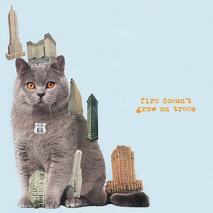 Brian Jonestown Massacre - Fire Doesn't Grow On Trees | Clash Magazine Music News, Reviews & Interviews