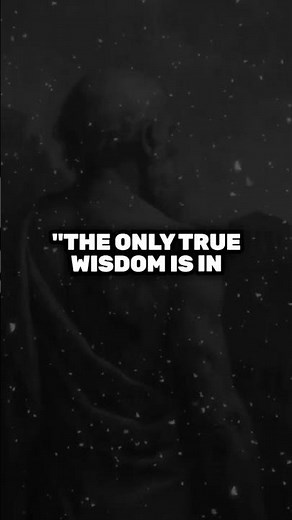 Socrates Quote: The Only True Wisdom Is Knowing You Know Nothing