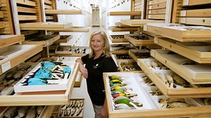 203K views · 1.7K reactions | The Smithsonian's National Museum of Natural History has over 144 million different specimens in its collections, but only about one percent are on display to the public. That other 99 percent? Deep in the archives, available only to scientists for research and study — and, now, us! Let's dive in. | Great Big Story | Facebook