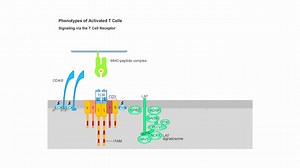 31 reactions | We are pleased to present a series of eLearning...