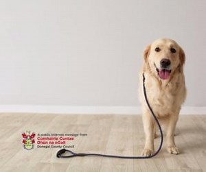  Many of us love taking dogs for walks in the countryside. Be extra...