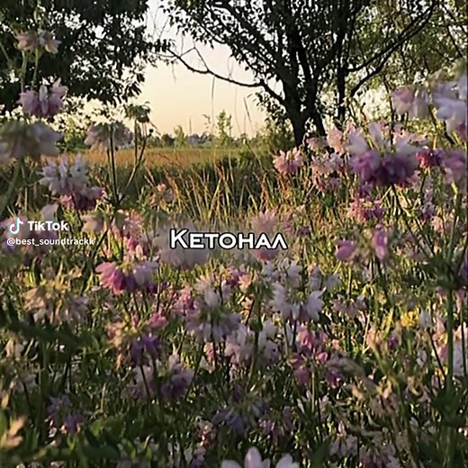 Trending Song Lyrics on Spotify