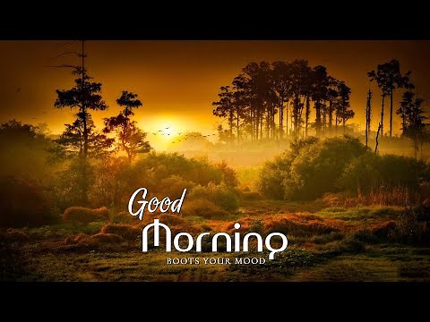 Good Morning Music ➤ Best Relaxing Piano Music to Boost Your Mood ➤Inspiring & Motivational Positive