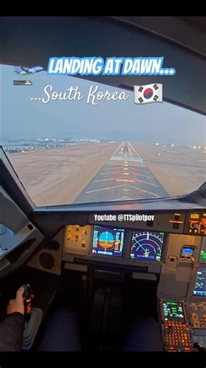 Runway Lights 🇰🇷 Pilot POV Landing at Dawn