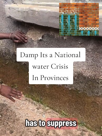 Damp Specialists: Solutions for National Water Crisis in Limpopo