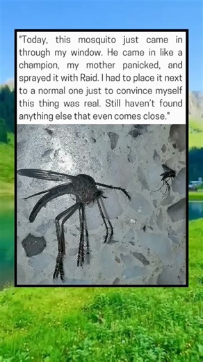 Proof that monsters are real. Look at the size difference!