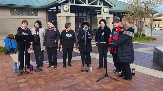 Re-watch the Veterans Day Parade