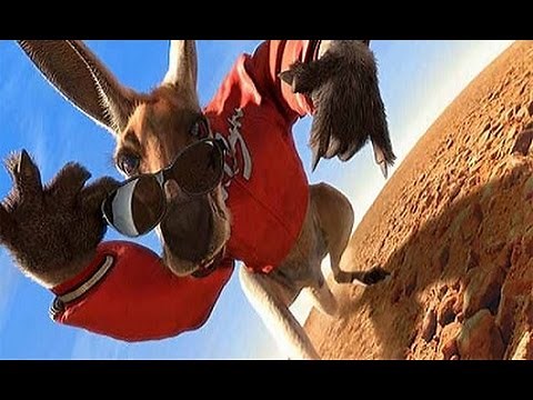 Kangaroo Jack II Teaser Trailer #1