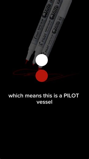 Every navigator has a memory hack for COLREGs. Whether it's a rhyme, a hand signal, or a mental shortcut—if it works, it works! What matters is that you remember the rules when it counts. Because out there, memory could mean the difference between safety and disaster. Share your hacks—someone might need them. ⚓ What's your favorite COLREG memory trick? #maritime #cadet
