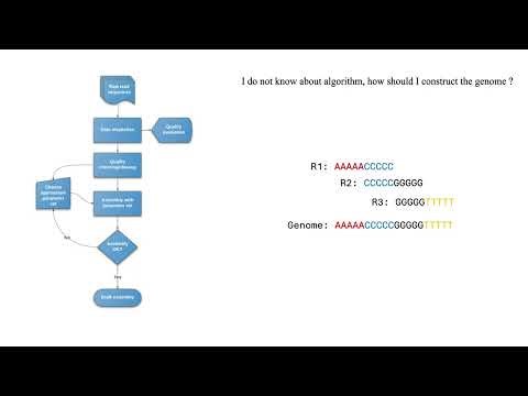 BIOINFO101: Genome assembly/ De novo genome