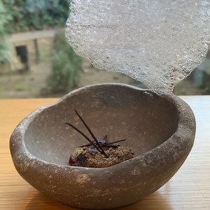 297K views · 447 reactions | Helium gas cloud above your plate ☁️✨...