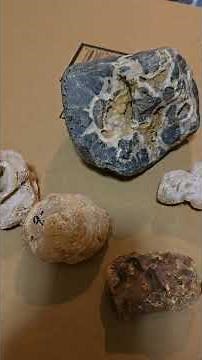 Using IRON OUT powder to remove rust stains from my rocks!