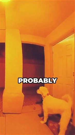 One Second of Trust😂