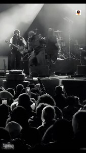Taurus Riley - she's loyal .. #taurusriley #viralreels #viralvideos | 10MusiC